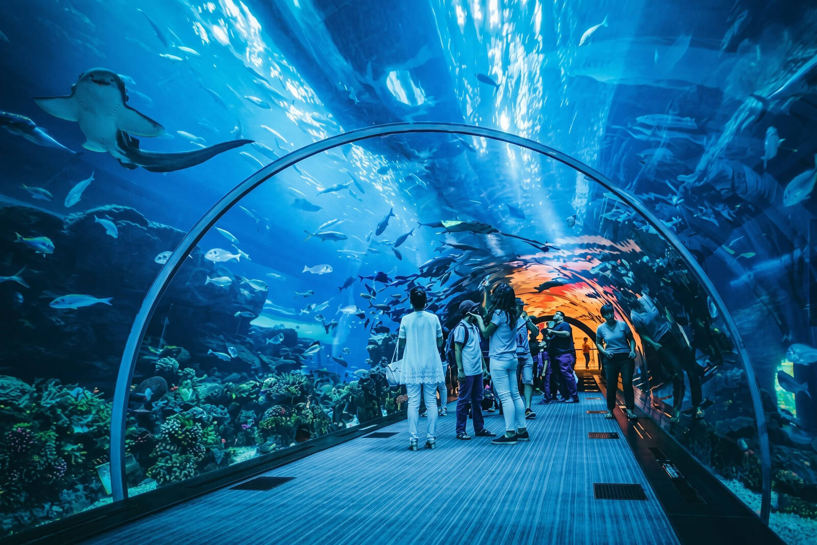Singapore SEA Aquarium