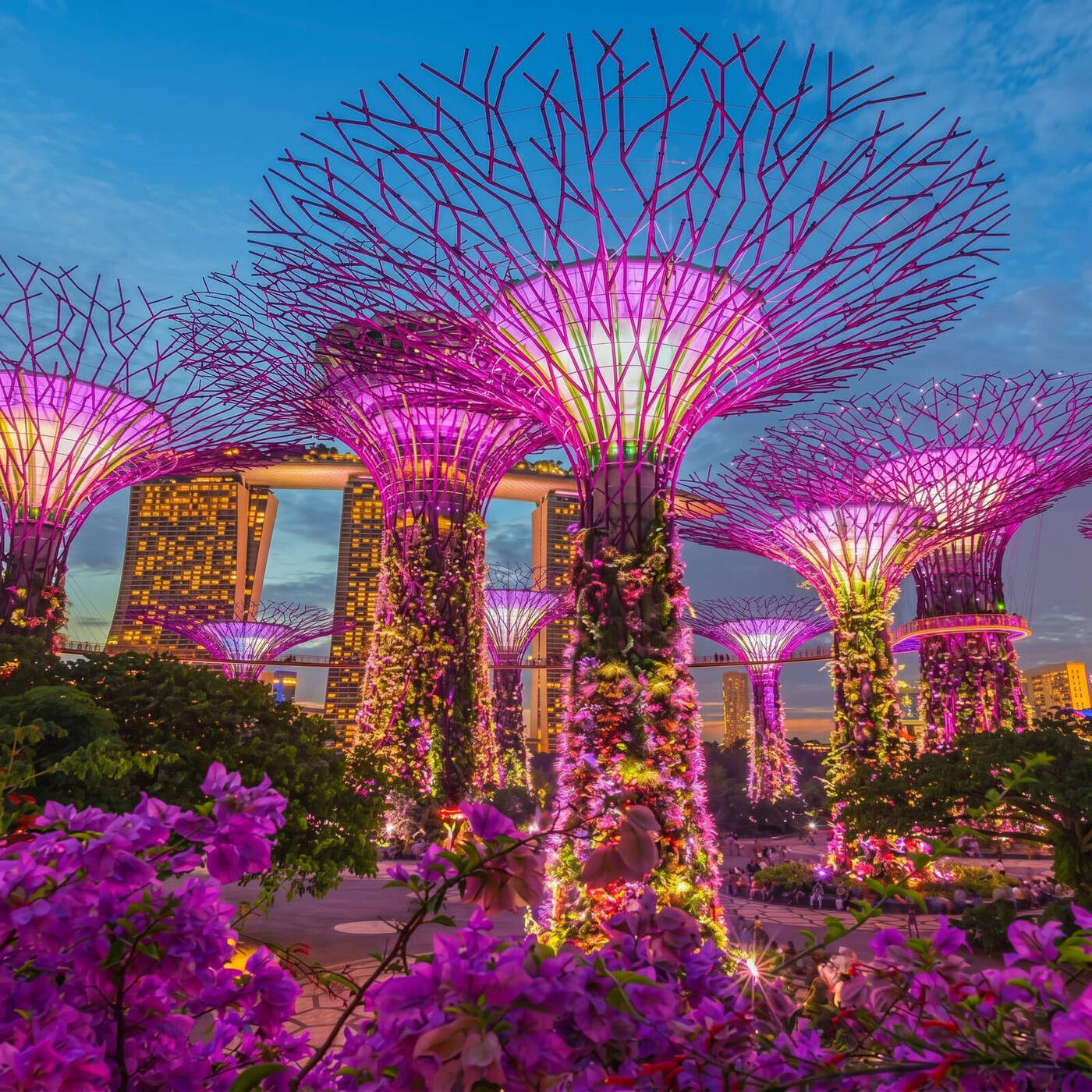 Singapore Supertrees